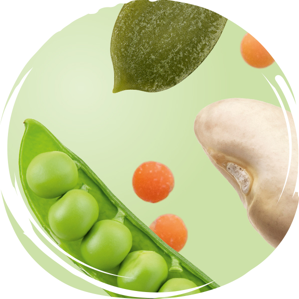 LEGUMES AND SEEDS