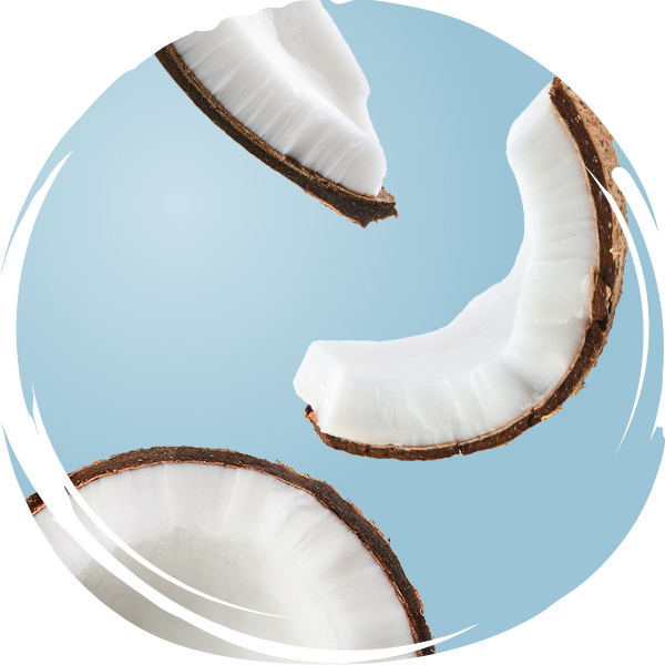 COCONUT PRODUCTS