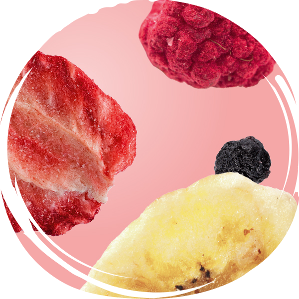 FREEZE-DRIED FRUITS